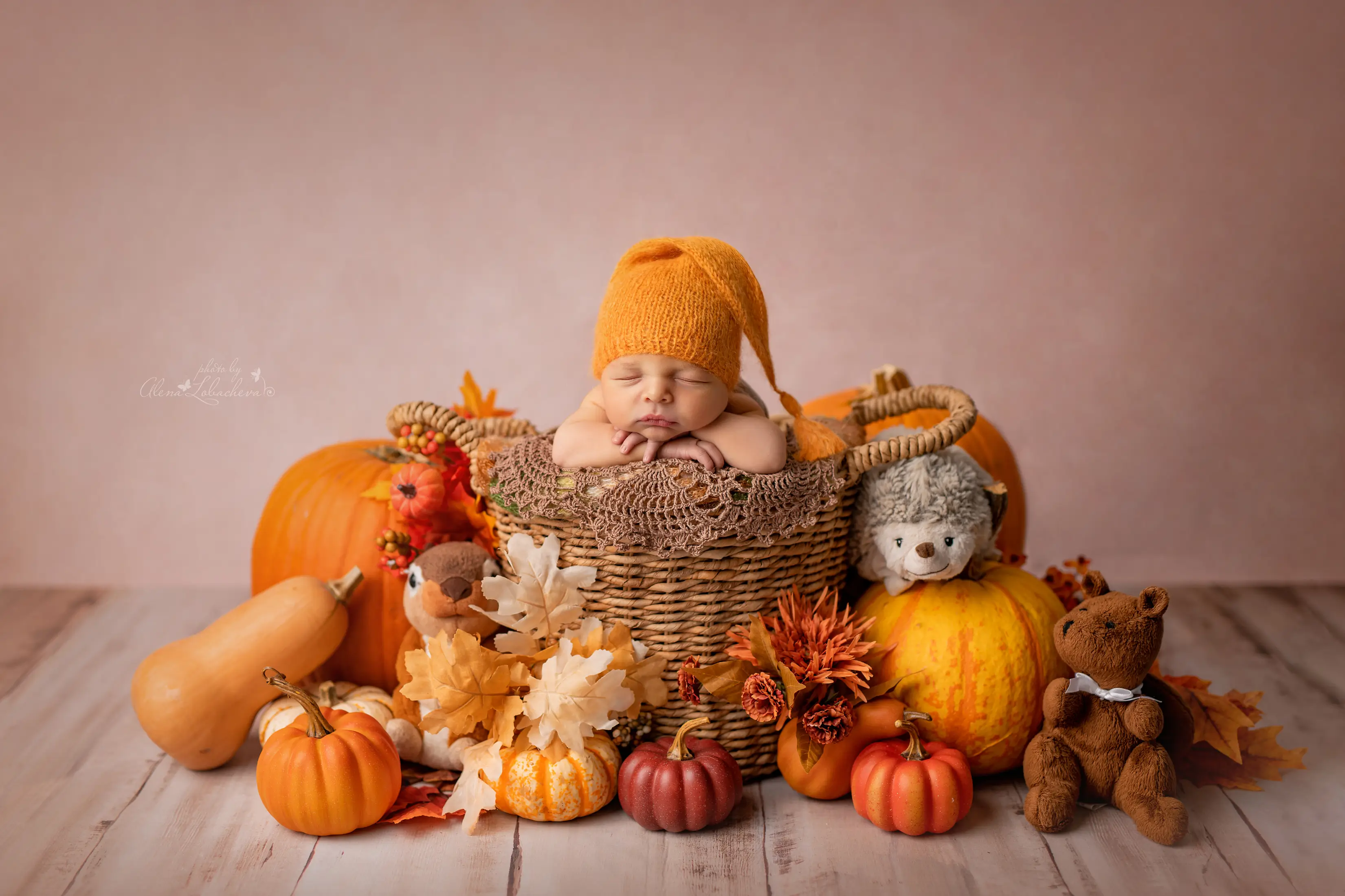 Awake newborn baby posed in a basket with autumn decorations