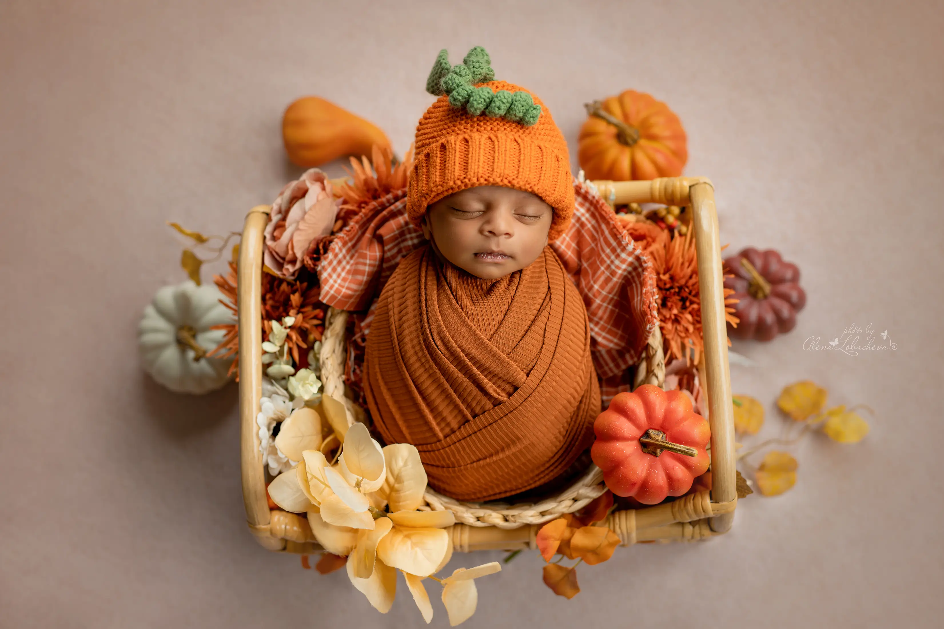 Newborn baby wrapped in rust-colored fabric beside autumn pumpkins